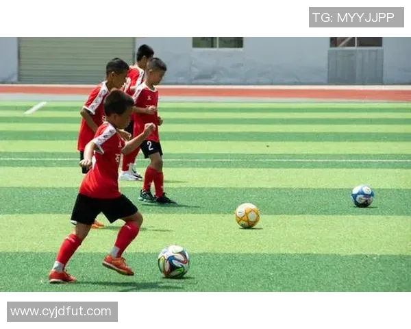 王敏独家分享足球心得与技巧助你提升球技的秘诀与经验